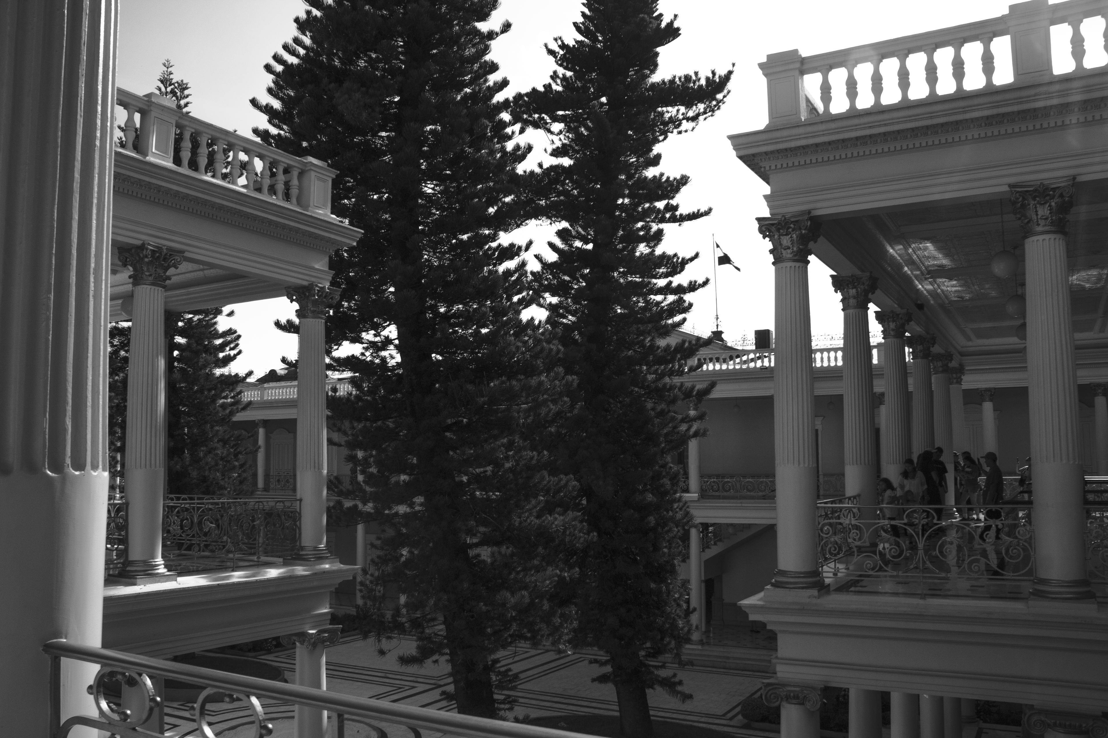 Patio interior visto entre columnas corintias y pinos