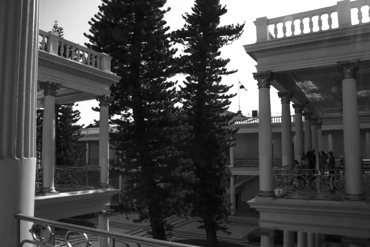 Patio interior visto entre columnas corintias y pinos